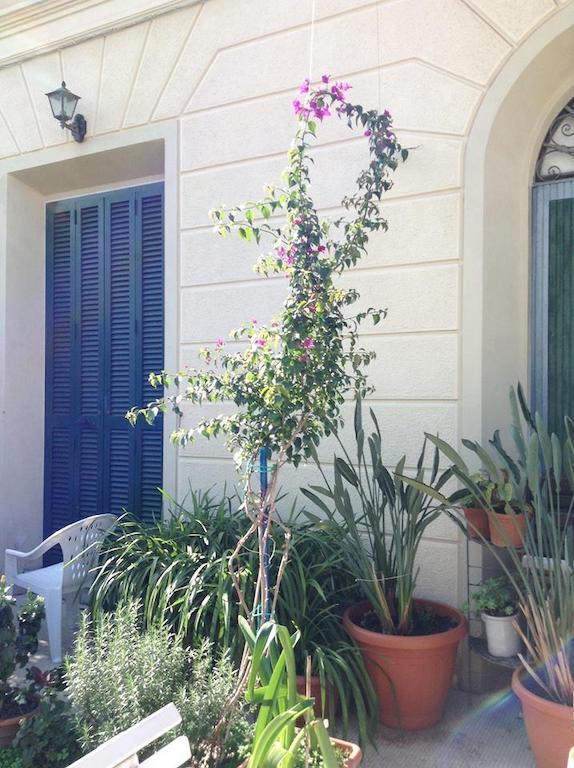 Bed and Breakfast Casa Fornaciari Viareggio Zewnętrze zdjęcie